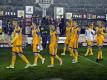 Die Tigres aus Mexiko standen 2015 im Finale (Quelle: SID)
<br>© 2016 SID