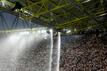 Der Kletterer hatte sich in der Dachkonstruktion des Stadions aufgehalten. Das Spiel war wegen eines Gewitters unterbrochen worden (Archivfoto)