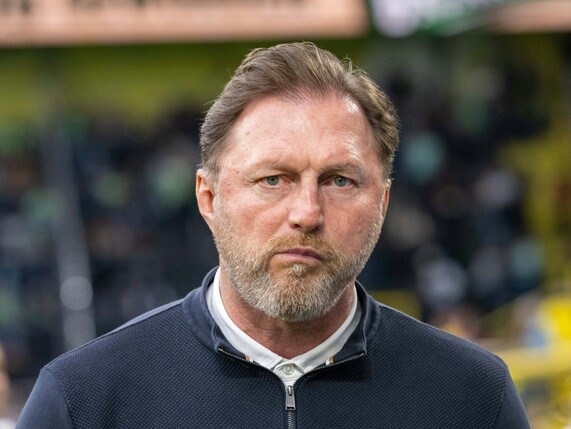 Medien: Hasenhüttl in Wolfsburg vor dem Aus