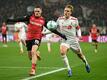 Neuer Ausrüster: Köln zurück zu adidas
