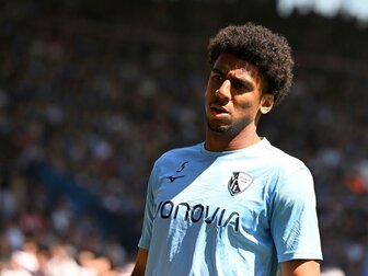 Hoffenheim holt Bernardo aus Bochum Hoffenheim holt Bernardo aus Bochum