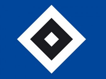 Jens Todt wird neuer HSV-Sportdirektor (Quelle: SID) Jens Todt wird neuer HSV-Sportdirektor (Quelle: SID)