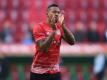 Boateng nimmt wieder am Mannschaftstraining teil (Quelle: SID)
<br>© 2016 SID