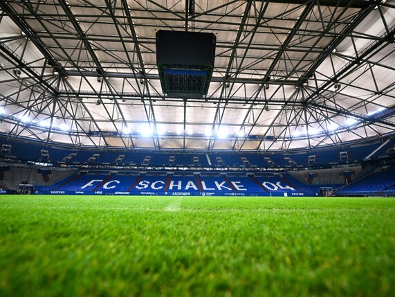 "Vegan-freundlichstes Stadion": Schalke-Arena auf Platz eins