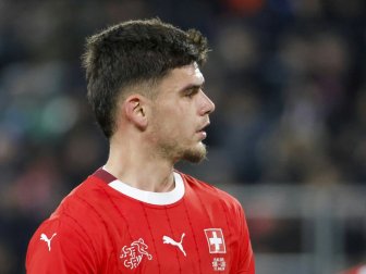 Hoffenheim verpflichtet Schweizer Hajdari Hoffenheim verpflichtet Schweizer Hajdari