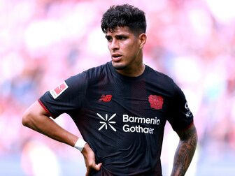 Rolfes bestätigt: Hincapié vor Wechsel nach England Rolfes bestätigt: Hincapié vor Wechsel nach England