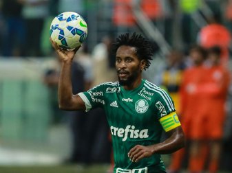 Zé Roberto hat seinen Vertrag bei Palmeiras verlängert (Quelle: PIXATHLON/SID)
<br>© 2016 SID Zé Roberto hat seinen Vertrag bei Palmeiras verlängert (Quelle: PIXATHLON/SID)
<br>© 2016 SID