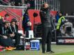 Ralph Hasenhüttl verlor gegen sein Ex-Team. Foto: Armin Weigel