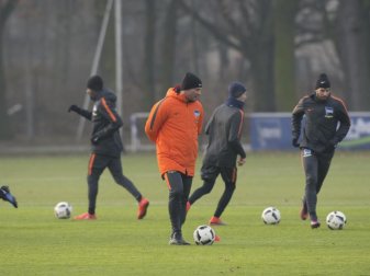 Pál Dárdai bereitet sein Team auf das Duell mit dem Tabellenzweiten RB Leipzig vor. Foto: Paul Zinken
<br>dpa-infocom GmbH Pál Dárdai bereitet sein Team auf das Duell mit dem Tabellenzweiten RB Leipzig vor. Foto: Paul Zinken
<br>dpa-infocom GmbH