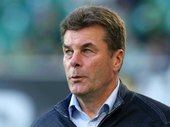 Hecking ist von der Qualität der Mannschaft überzeugt (Quelle: FIRO/SID-IMAGES)
<br>© 2017 SID Hecking ist von der Qualität der Mannschaft überzeugt (Quelle: FIRO/SID-IMAGES)
<br>© 2017 SID