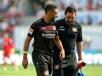 Bellarabi zeigt sich nach langer Pause optimistisch (Quelle: FIRO/SID)
<br>© 2017 SID Bellarabi zeigt sich nach langer Pause optimistisch (Quelle: FIRO/SID)
<br>© 2017 SID