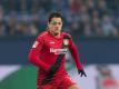 Bayer Leverkusen will Chicharito halten. Foto: Guido Kirchner
<br>dpa-infocom GmbH