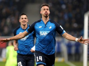 Sandro Wagner erzielte den Führungstreffer für die TSG