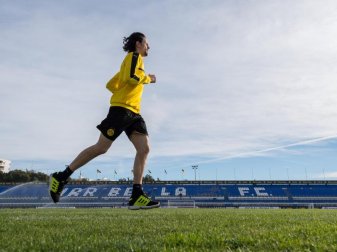 Neven Subotic war beim BVB lange verletzt. Foto: Guido Kirchner Neven Subotic war beim BVB lange verletzt. Foto: Guido Kirchner