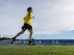 Neven Subotic war beim BVB lange verletzt. Foto: Guido Kirchner