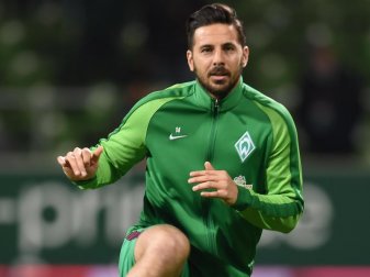 Bremens Claudio Pizarro hofft auf einen Treffer gegen seinen alten Club. Foto: Carmen Jaspersen Bremens Claudio Pizarro hofft auf einen Treffer gegen seinen alten Club. Foto: Carmen Jaspersen