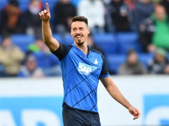 Hoffenheims Stürmer Sandro Wagner hat in dieser Saison schon zehn Treffer erzielt. Foto: Uwe Anspach