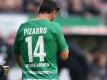 Der Bremer Claudio Pizarro wird sich in München untersuchen lassen. Foto: Carmen Jaspersen