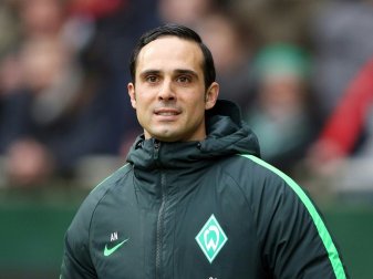 Alexander Nouri kritisiert Trumps Einreiseverbot Alexander Nouri kritisiert Trumps Einreiseverbot