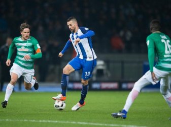 Vedad Ibisevic kann beim kommenden Heimspiel wieder mitspielen. Foto: Annegret Hilse Vedad Ibisevic kann beim kommenden Heimspiel wieder mitspielen. Foto: Annegret Hilse