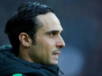 Nouri und Werder stehen unter Zugzwang Nouri und Werder stehen unter Zugzwang