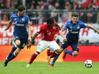 Bayern und Schalke trennen sich 1:1