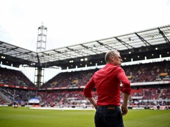Neuer Rasen für Peter Stöger und den 1. FC Köln Neuer Rasen für Peter Stöger und den 1. FC Köln