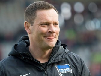 Pal Dardai und Hertha wollen gegen Schalke punkten Pal Dardai und Hertha wollen gegen Schalke punkten