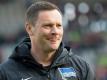 Pal Dardai und Hertha wollen gegen Schalke punkten