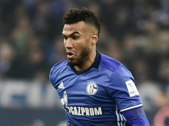 Choupo-Moting fehlt Schalke 04 gegen Hertha Choupo-Moting fehlt Schalke 04 gegen Hertha