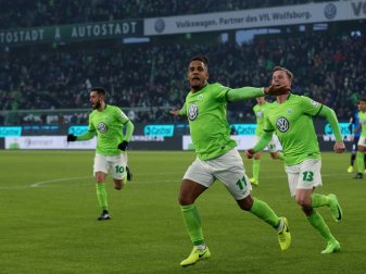 Didavi feiert sein Siegtor gegen Hoffenheim 