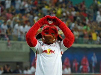 Viele Fans sehen RB Leipzig als Bereicherung an Viele Fans sehen RB Leipzig als Bereicherung an