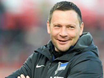 Pal Dardai glaubt an Punktgewinn gegen Bayern München