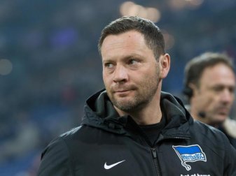 Beim 2:1-Sieg gegen Bayern 2001 war Pal Dardai noch Spieler. Foto: Guido Kirchner Beim 2:1-Sieg gegen Bayern 2001 war Pal Dardai noch Spieler. Foto: Guido Kirchner