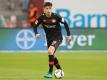 Kai Havertz bereitete gegen Augsburg zwei Treffer vor