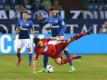 Schalke und Hoffenheim trennen sich 1:1