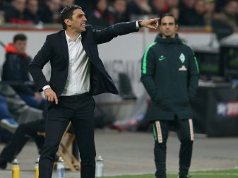 Bayer verpasst den Sieg beim Debüt von Tayfun Korkut Bayer verpasst den Sieg beim Debüt von Tayfun Korkut