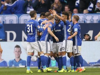 Die Spieler von Schalke bejubeln das 3:0 gegen den FC Augsburg durch Daniel Caligiuri. Foto: Ina Fassbender Die Spieler von Schalke bejubeln das 3:0 gegen den FC Augsburg durch Daniel Caligiuri. Foto: Ina Fassbender