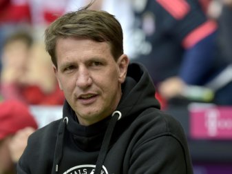 Sitzt weiter auf Hannover Trainerband: Daniel Stendel Sitzt weiter auf Hannover Trainerband: Daniel Stendel