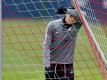 Davie Selke wird von Trainer Hasenhüttl für seinen Einsatz im Training gelobt. Trotzdem wird er an Spieltagen selten berücksichtigt. Foto: Jan Woitas