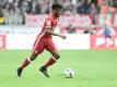 Bayern München zieht wohl die Kaufoption von Coman