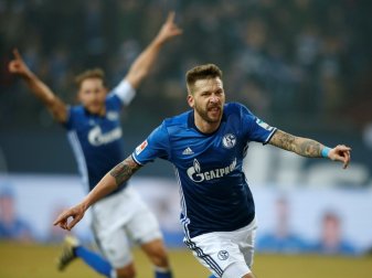 Traf für Schalke schon sechsmal: Guido Burgstaller Traf für Schalke schon sechsmal: Guido Burgstaller
