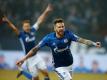 Traf für Schalke schon sechsmal: Guido Burgstaller