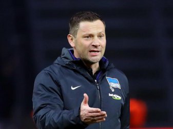Berlins Trainer Pal Dardai hat beim Training wieder Nationalspieler-Trio empfangen können. Foto: Christian Charisius Berlins Trainer Pal Dardai hat beim Training wieder Nationalspieler-Trio empfangen können. Foto: Christian Charisius