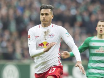 Werder hofft auf seine Rückkehr: Davie Selke Werder hofft auf seine Rückkehr: Davie Selke
