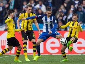 Berlin setzt auf Torjäger Vedad Ibisevic (M.). Foto: Soeren Stache Berlin setzt auf Torjäger Vedad Ibisevic (M.). Foto: Soeren Stache