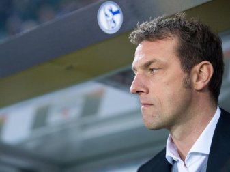Trainer Markus Weinzierl und der FC Schalke 04 überzeugten zuletzt mit zwei Siegen nacheinander. Foto: Marius Becker Trainer Markus Weinzierl und der FC Schalke 04 überzeugten zuletzt mit zwei Siegen nacheinander. Foto: Marius Becker