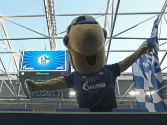 Ährwin sorgte nach dem Derby für mächtig Wirbel Ährwin sorgte nach dem Derby für mächtig Wirbel