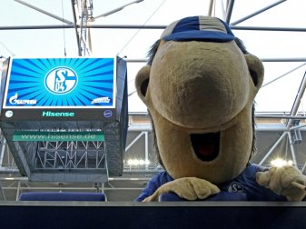 S04-Maskottchen Erwin sorgt für Aufregung im Derby S04-Maskottchen Erwin sorgt für Aufregung im Derby