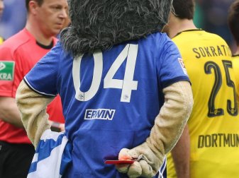 Das Schalker Maskottchen Erwin hatte dem Schiedsrichter Felix Zwayer eine rote Karte gezeigt. Foto: Ina Fassbender Das Schalker Maskottchen Erwin hatte dem Schiedsrichter Felix Zwayer eine rote Karte gezeigt. Foto: Ina Fassbender